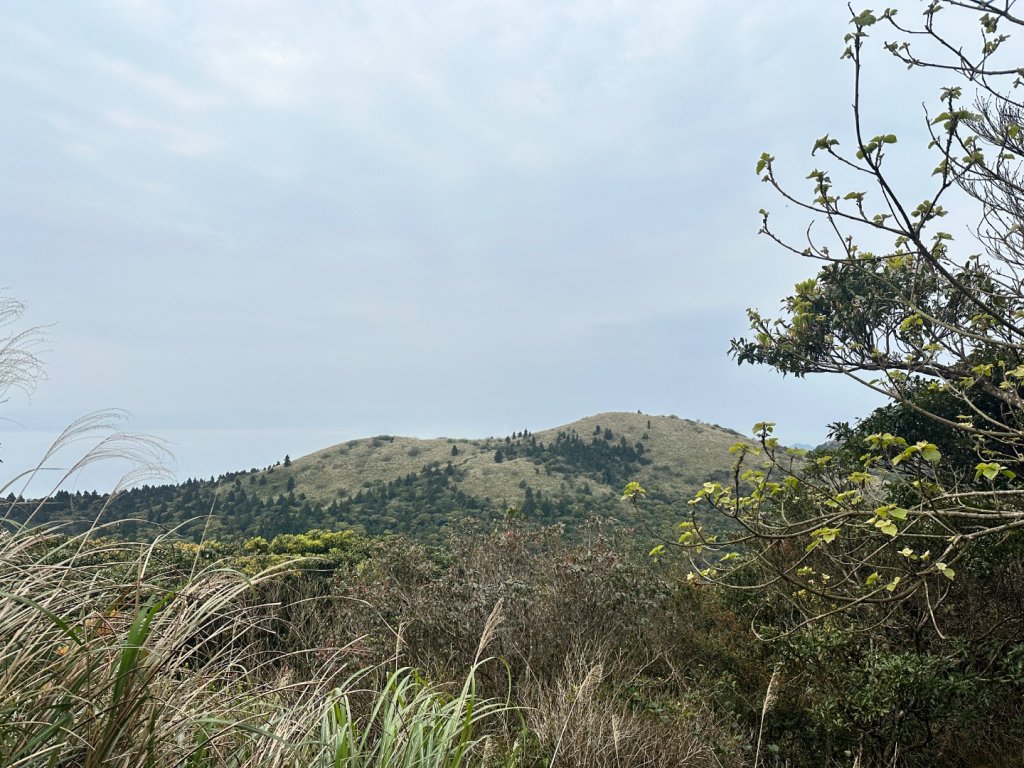 001大屯山_2598614