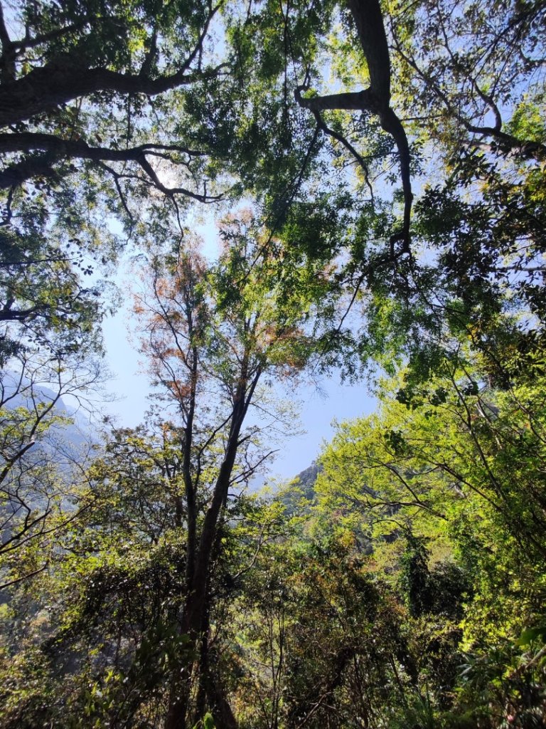 八仙佳保_2746078