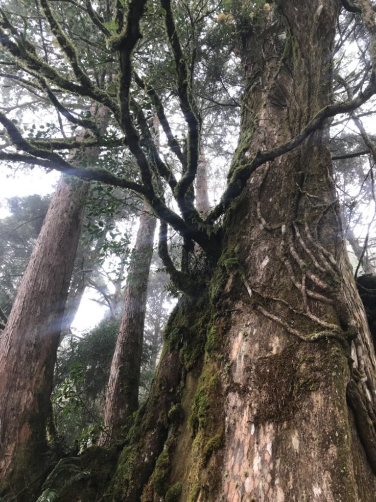 見晴古道。0.9K的抒情浪漫_1494474