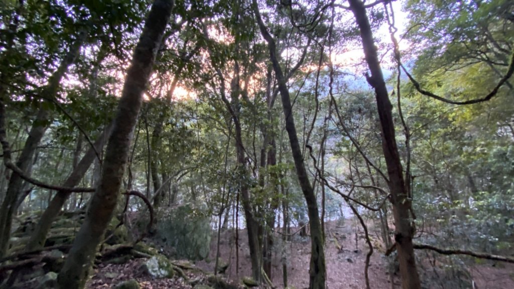 楠梓仙溪上南玉山_1373025