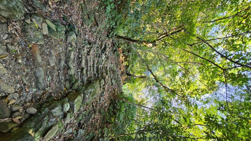 【爬山會爬上癮】五刷小百岳#089鯉魚山。_2824764