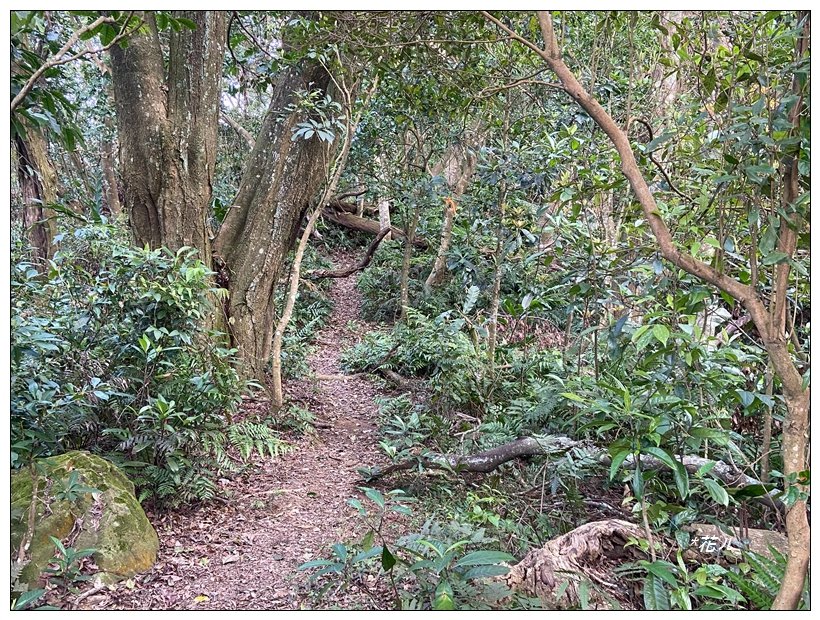 頭寮山、內湳溝山、牛角湳西南峰O型連走_2738978