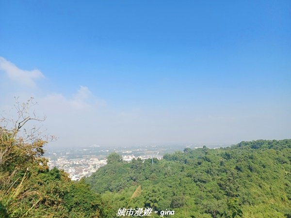 【雲林林內】台灣百大必訪步道。 龍過脈森林步道_1952040
