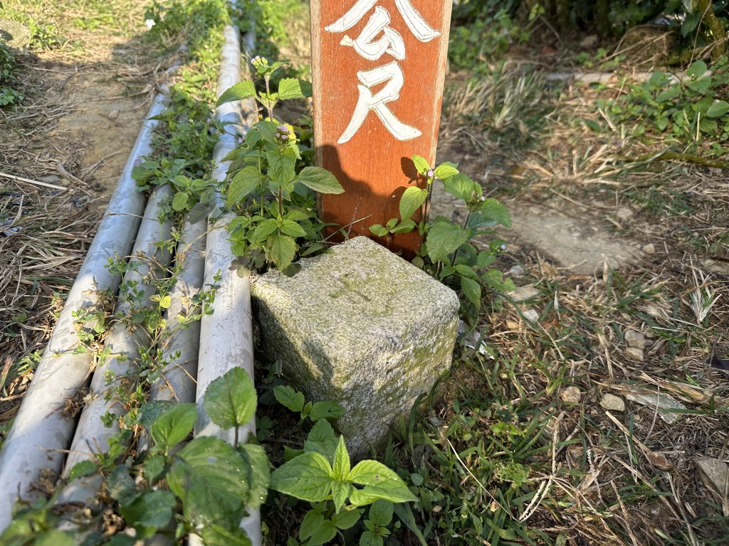 雲嘉十八連峰_1932583