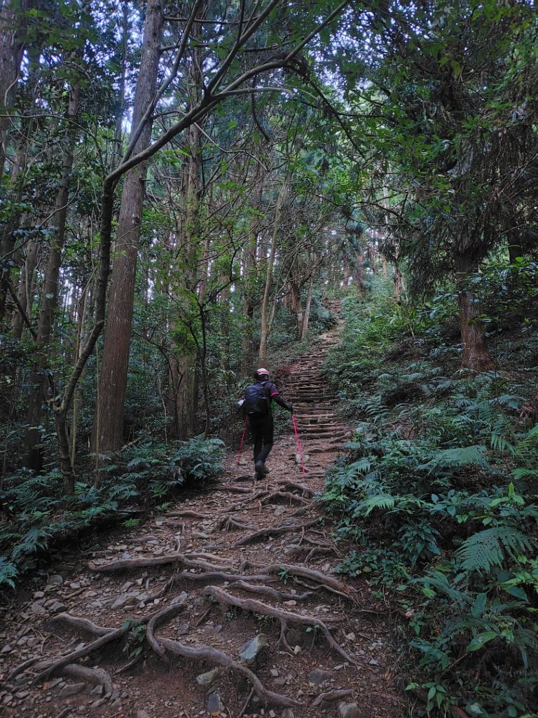 長壽山、肥崠山、醜崠山、大崠山、大崠山經建版_2931515