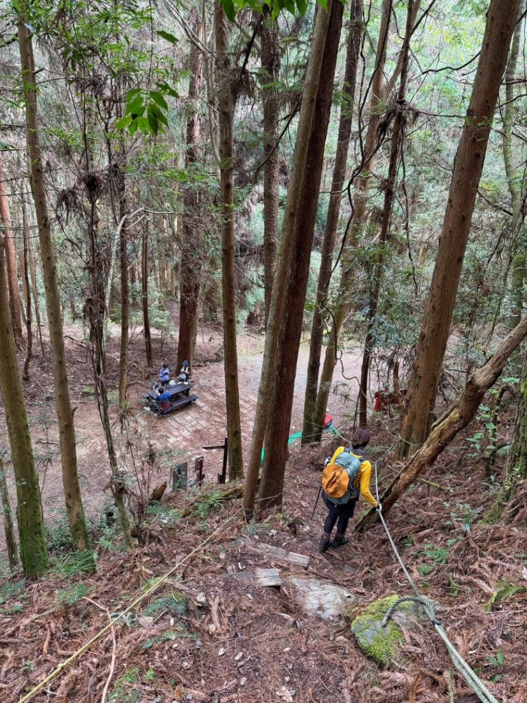 雪霸國家公園 雪見遊憩區 東洗水山_2928559