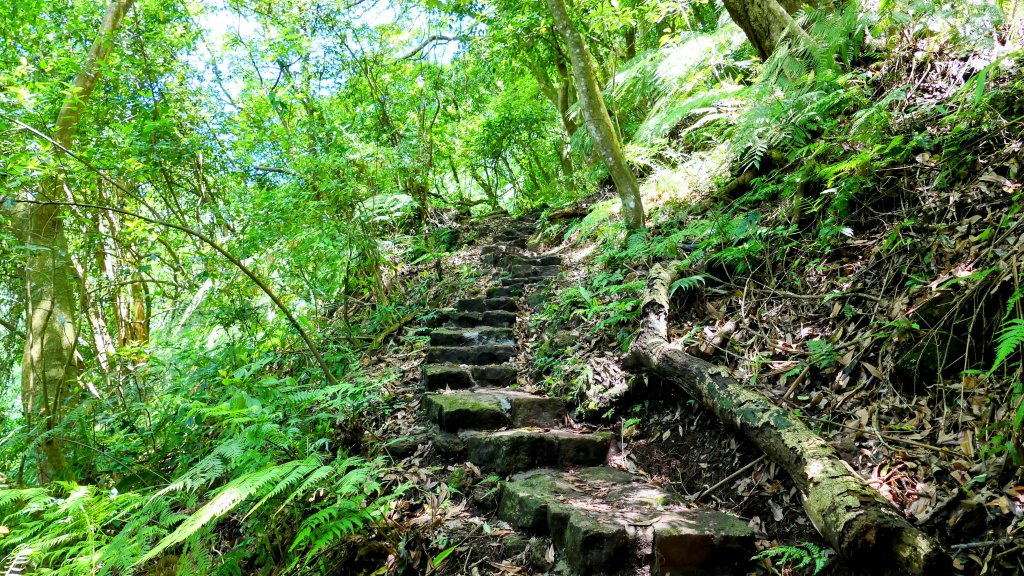 猴崁古道。盧特訪積_2773271