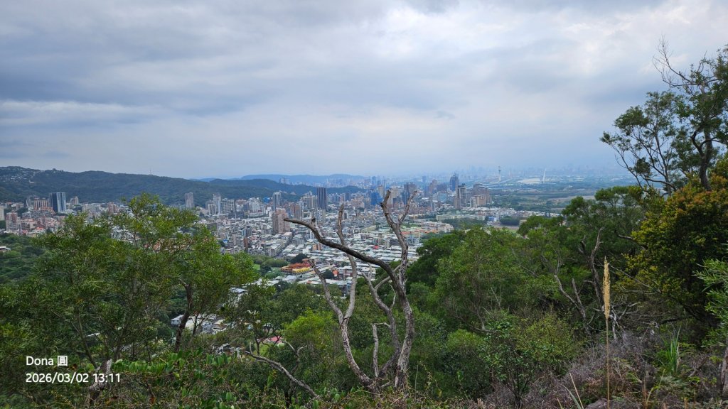 20260302忠義山.小坪頂山.貴子坑山大O走_3009923