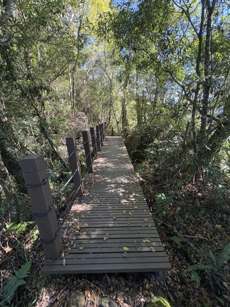 20251221嘉南雲峰、石壁山登山步道_2968198