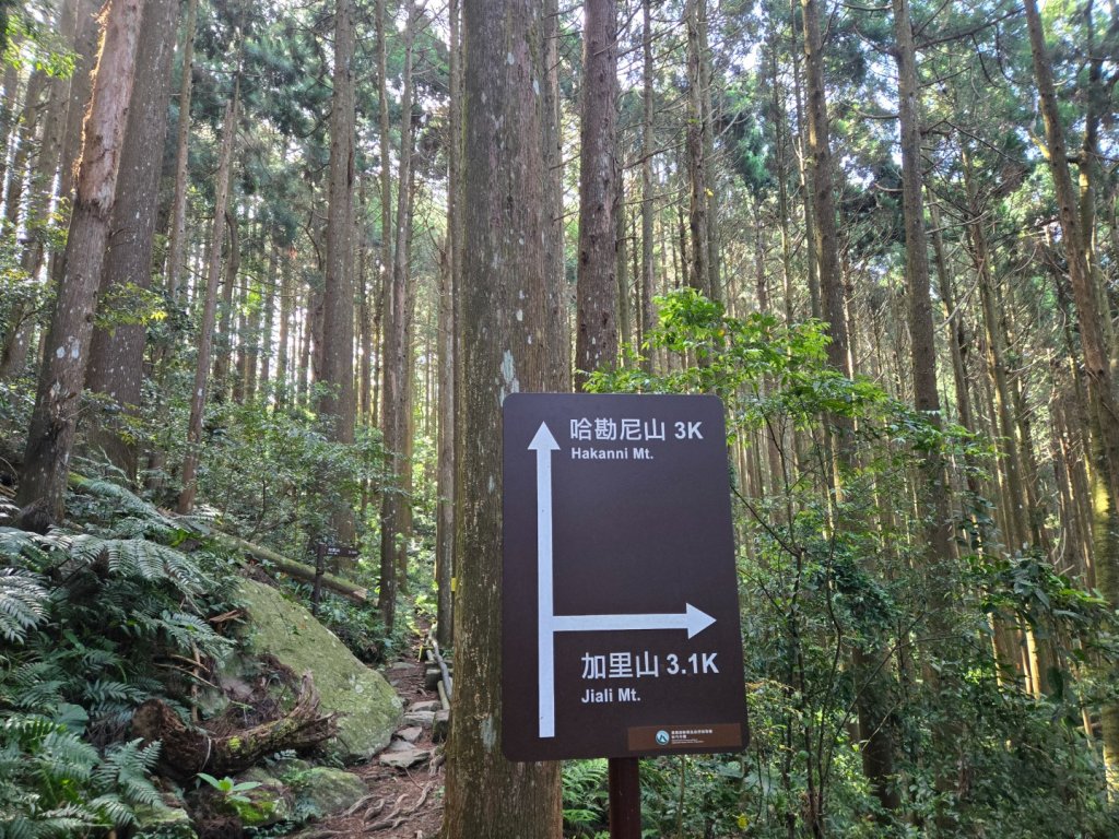 哈堪尼山_2761937