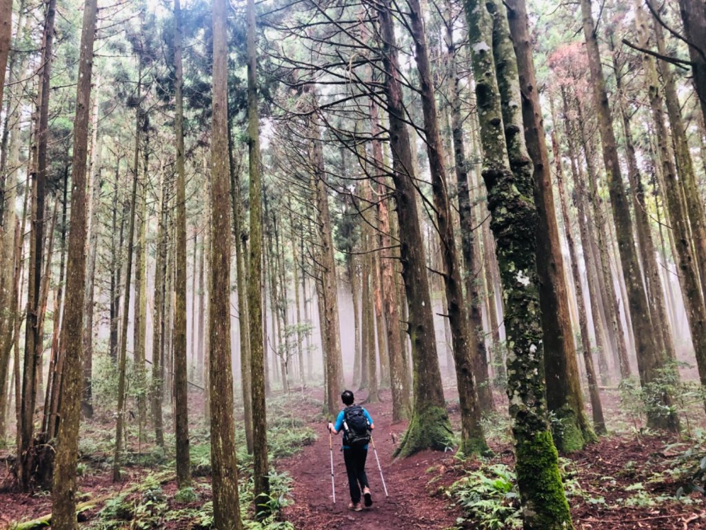 1090725高台山+美人湯封面圖