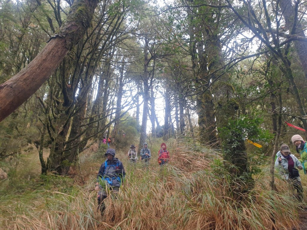 羅馬縱走20220123_1618089