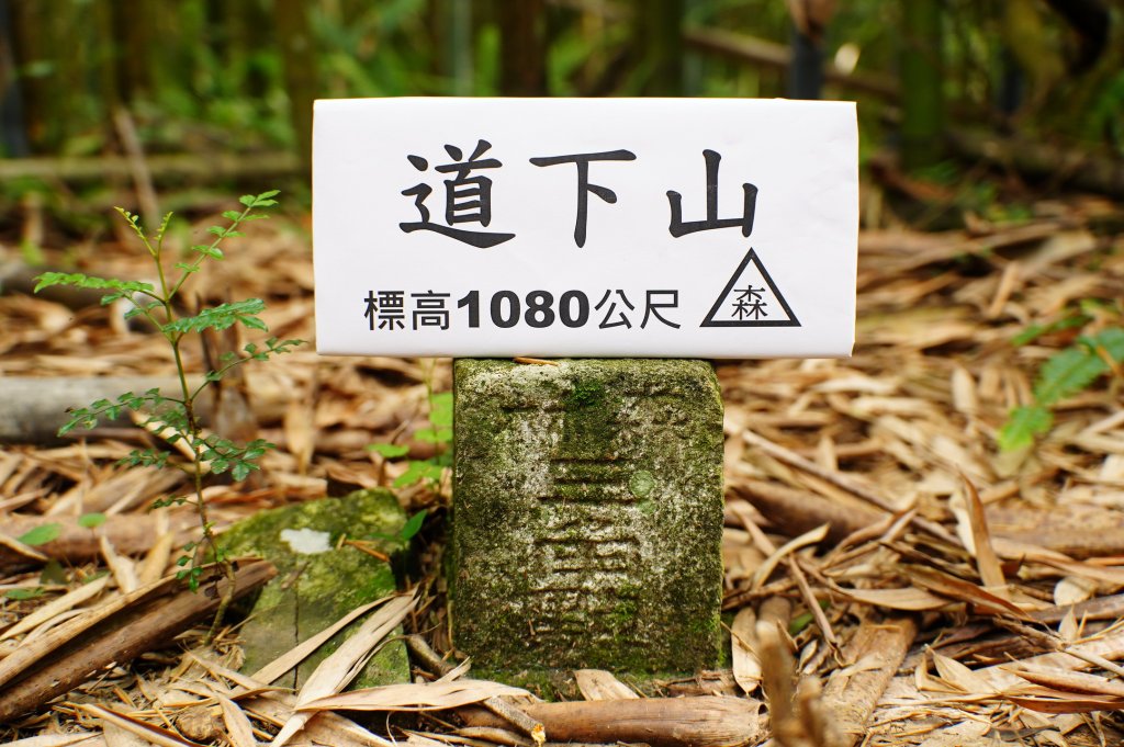 新竹 尖石 道下山、牛欄坑山、大混山封面圖