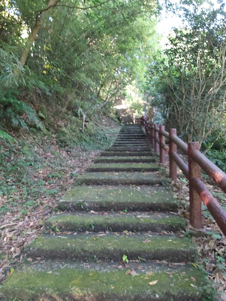 淡蘭古道中路~暖暖車站-十分車站_1042577