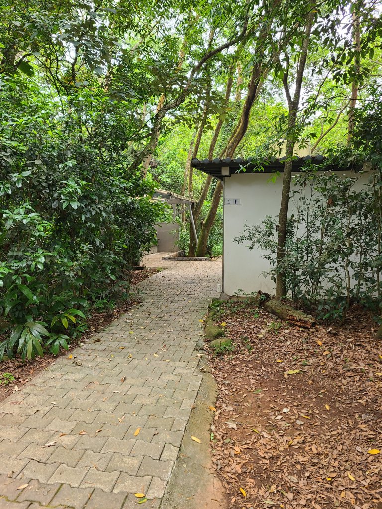 挑炭古道(三通嶺古道)+慈濟山步道_2780437