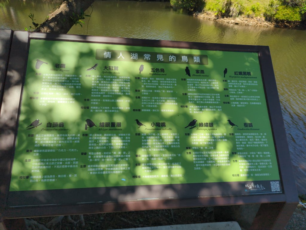 2025.09.13－情人湖步道&大武崙山_2885814