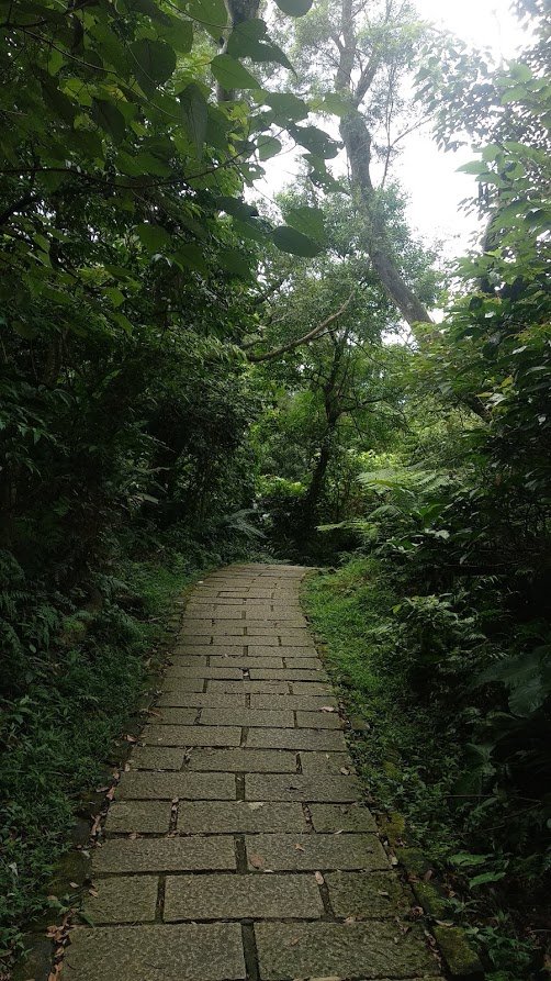 2020 7/7 南港山_1026656