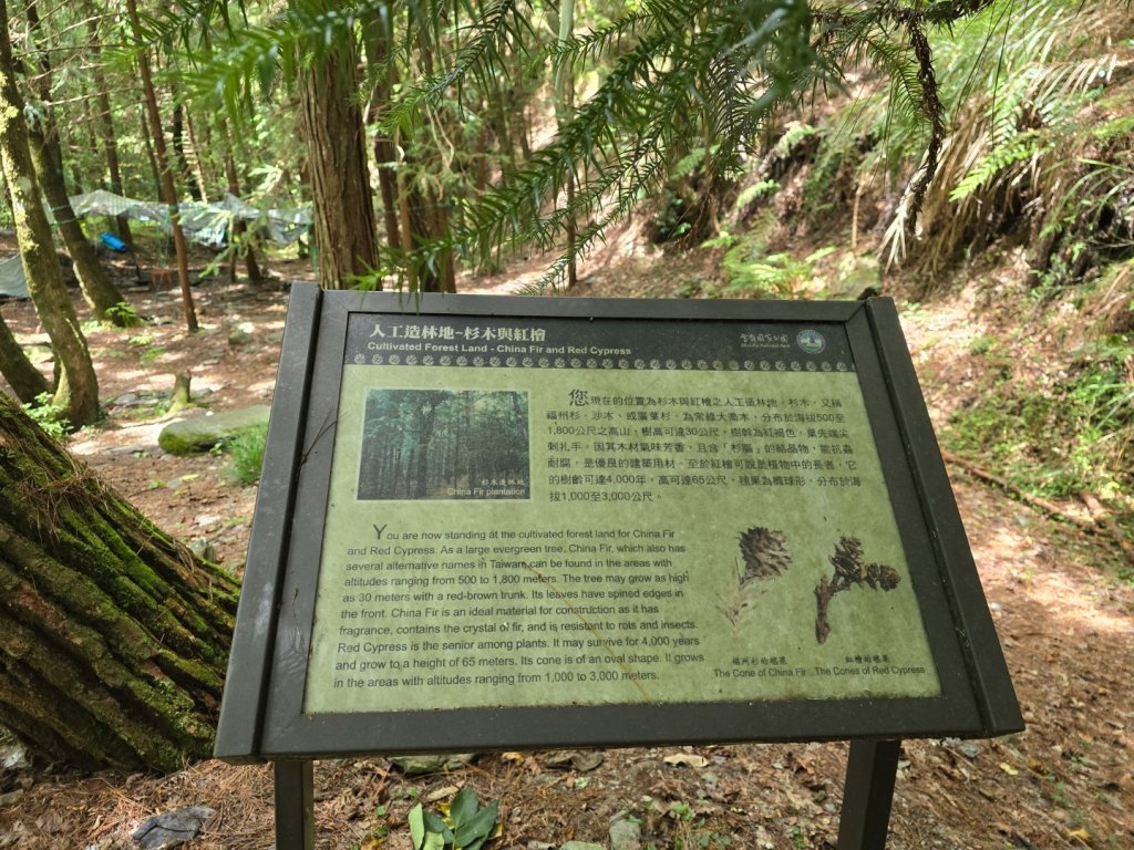 志佳陽大山（回程走高繞環山獵人登山步道）_2542133