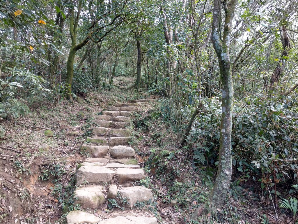 冷水坑-擎天崗環狀步道(竹嵩山)-風櫃嘴_821092