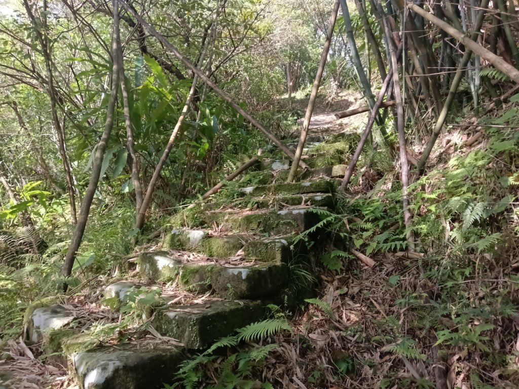 雙溪區東內平林山+上平林山+平林山去回_2952466