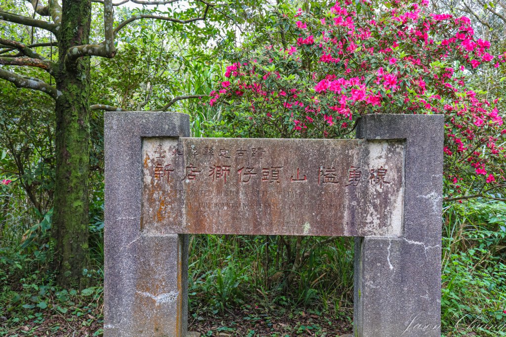 [新北]獅仔頭山_2454584