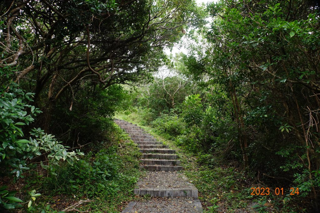 屏東 牡丹鄉 牡丹鼻山_2013960