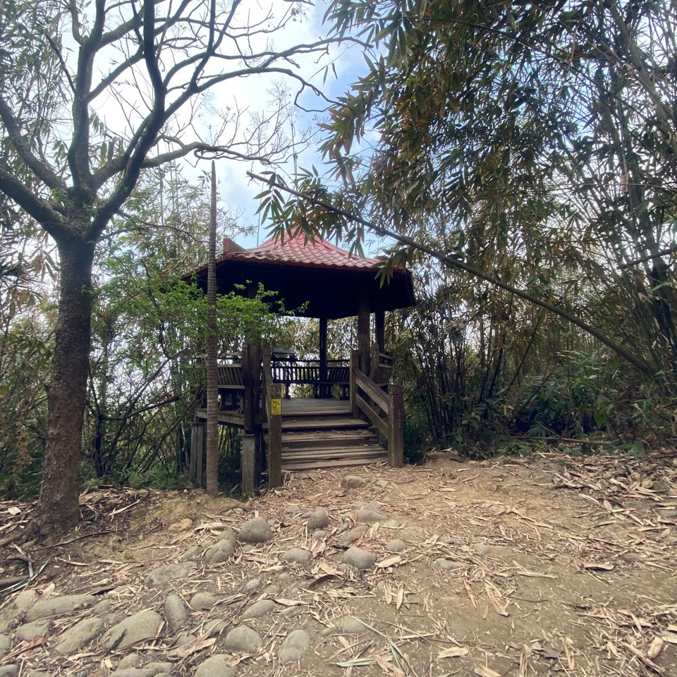 台南大凍山 1241M 小百岳#63_1270927