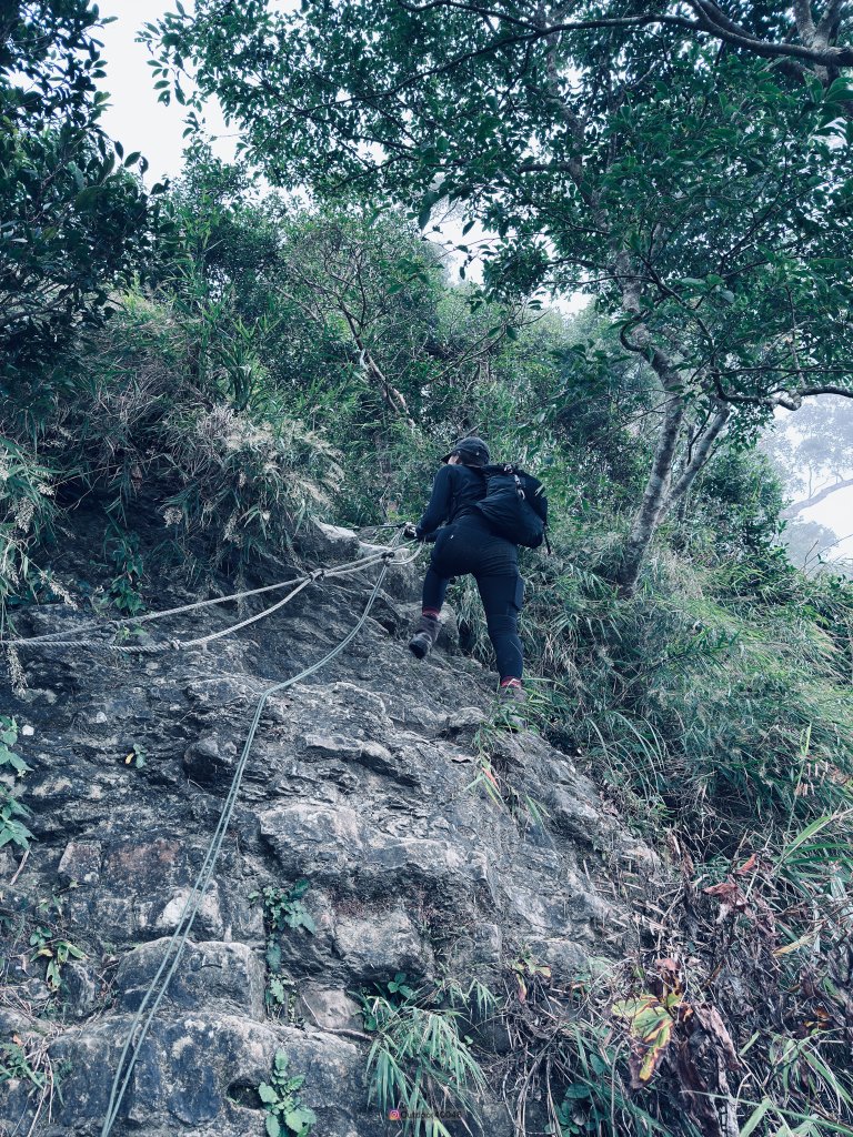 三腳南山_2666426