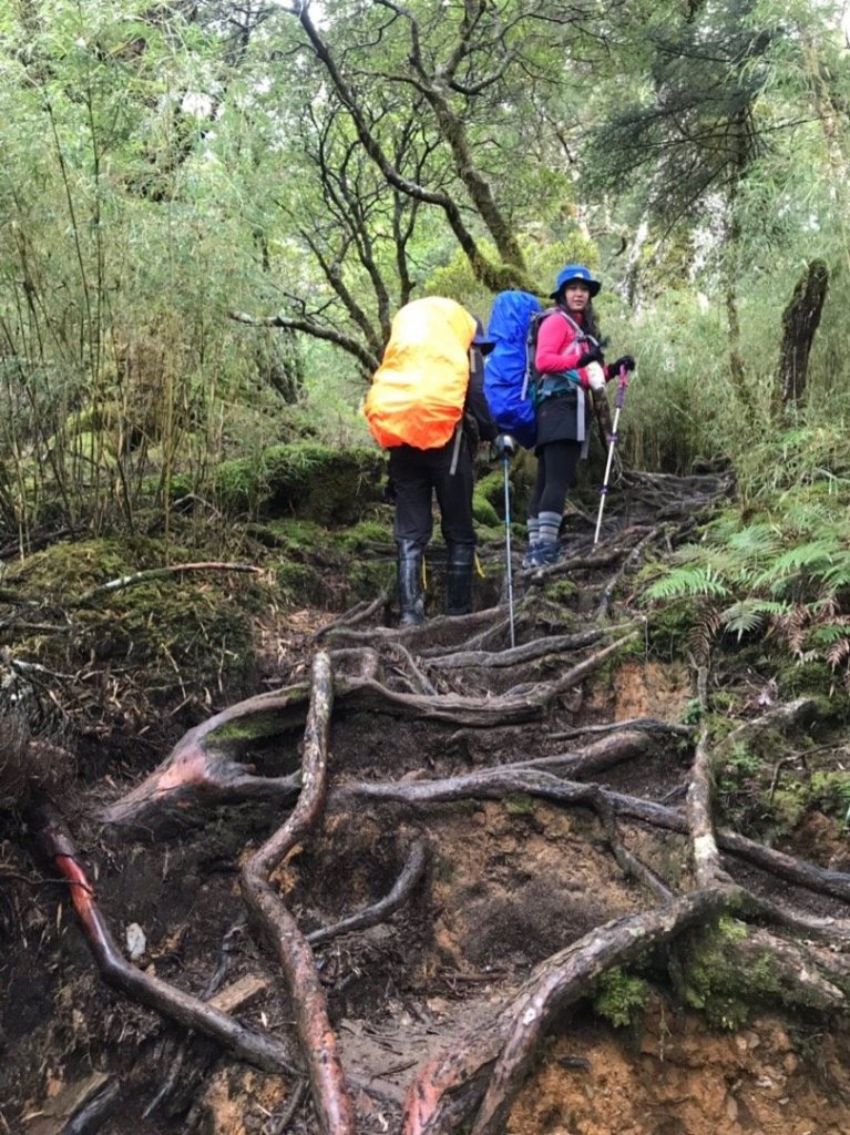 沒走完的黑色奇萊_447551