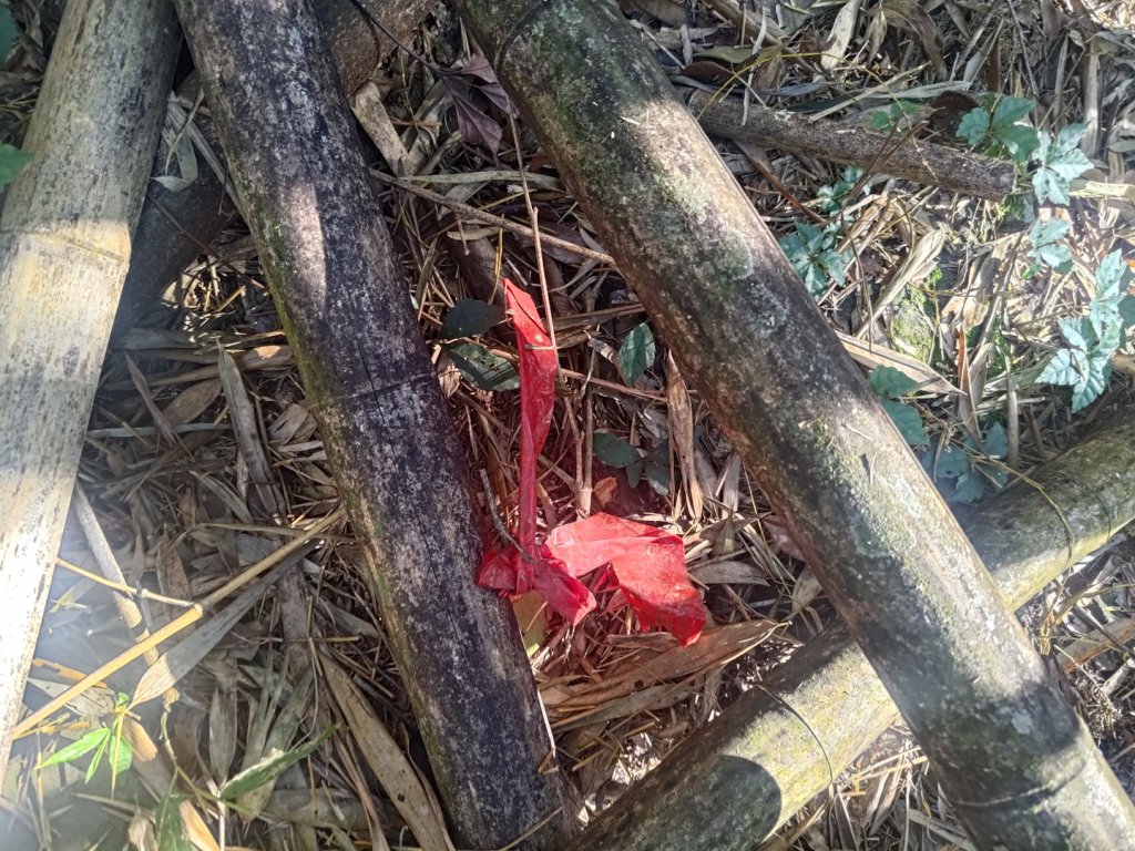 幾阿佐名山_2664476