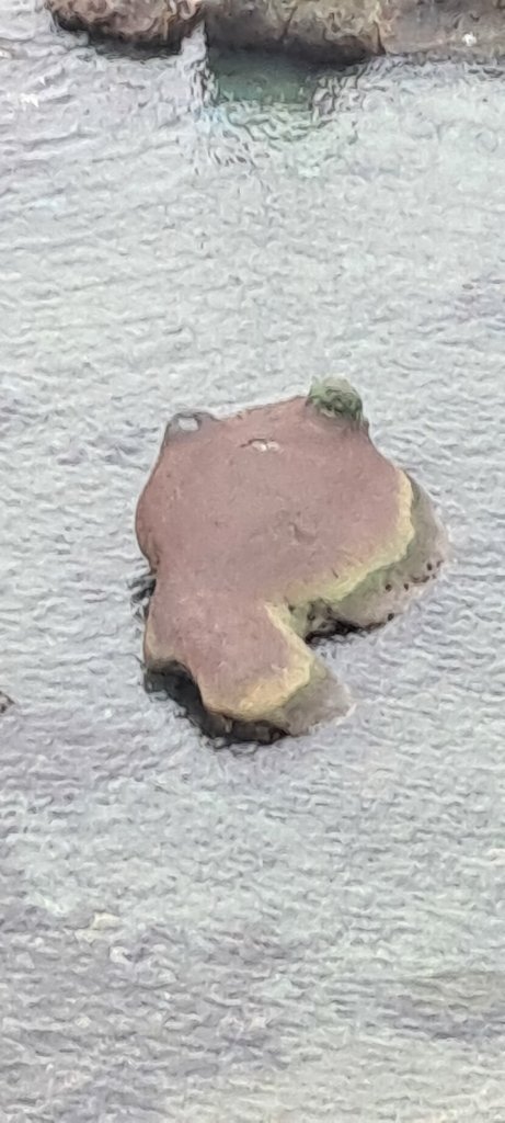 忘憂谷步道_1619780