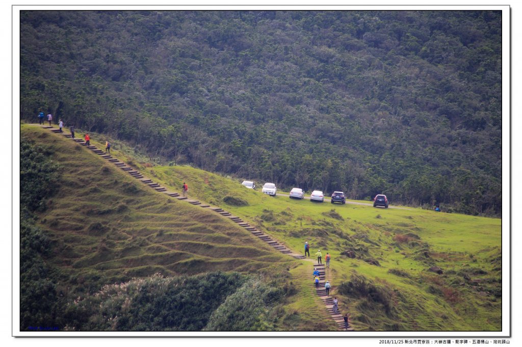 大嶺古道、五酒桶山縱走灣坑頭山_469535
