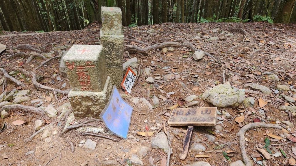 【中級山】來過一次，你不會忘記它的名字，新竹油羅山_2743733