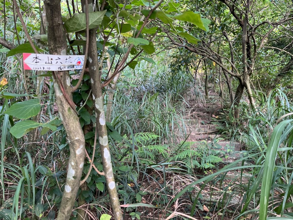 新北 瑞芳 無言的山丘_2788450