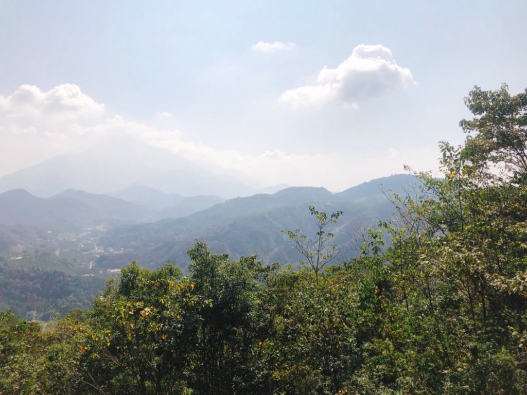 金龍山步道_465635