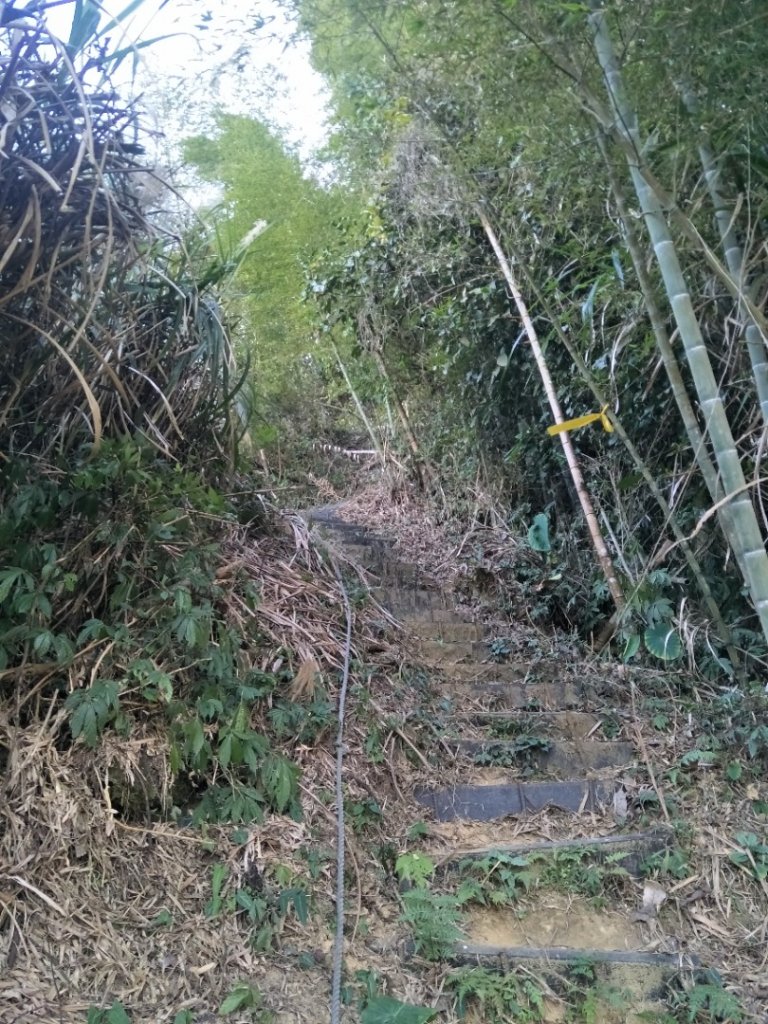 集集大山_2014107