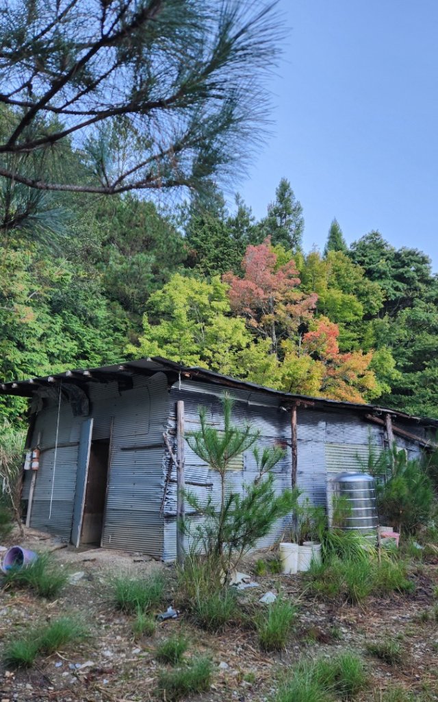 【中級山】馬武霸山，實至名歸的百岳觀景台_2937705