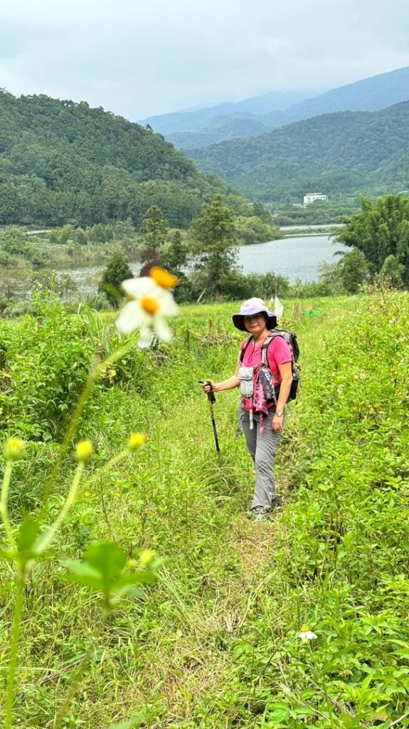 三針後山、雙連埤犬香薷節封面圖