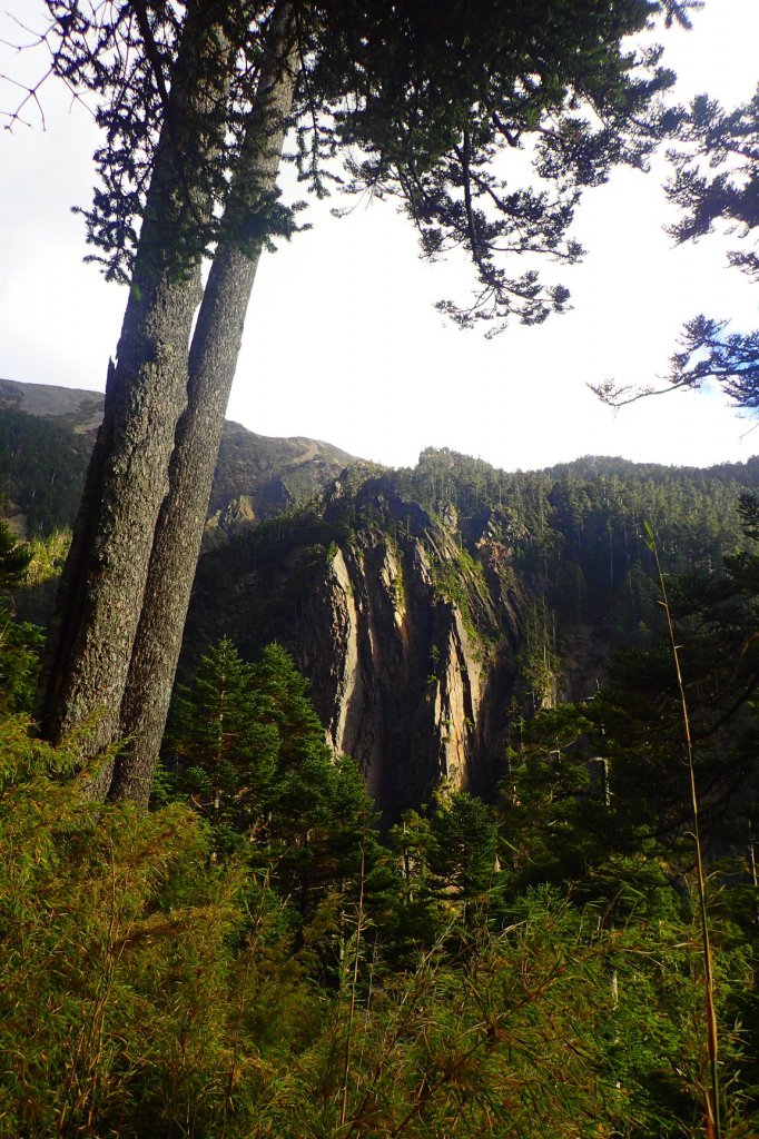 登峰造極--2018玉山主峰_532512