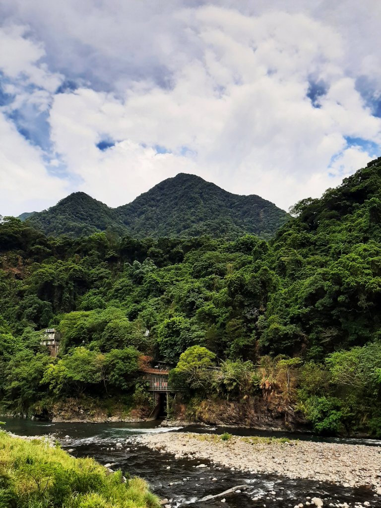 百大必訪步道 蕨類天堂 森林癒_1824071