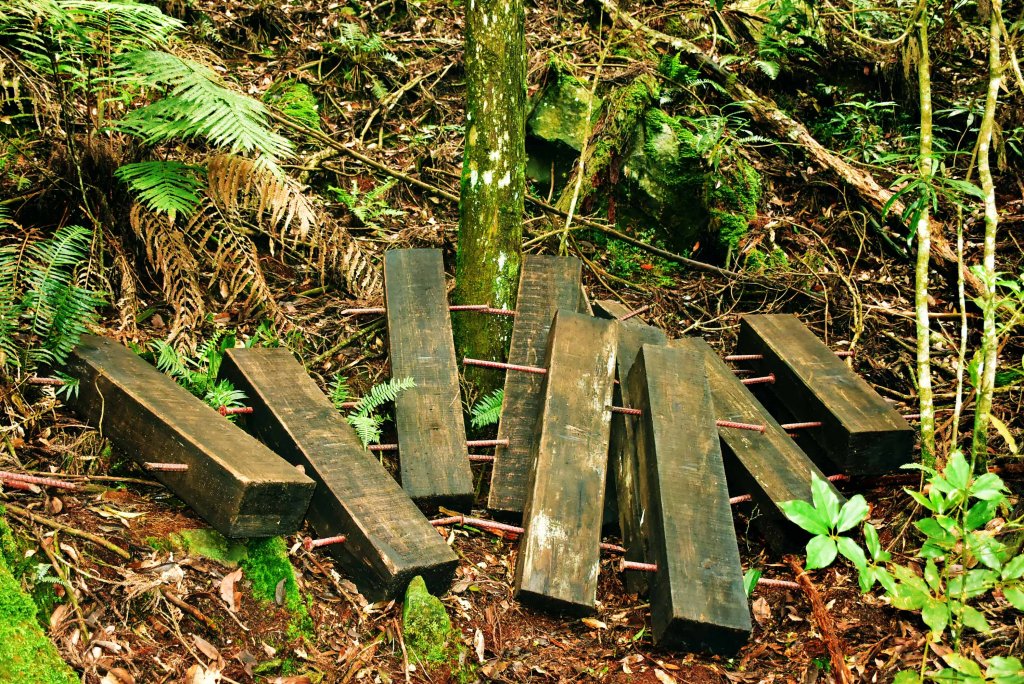 20190728八仙山 攀登_638480