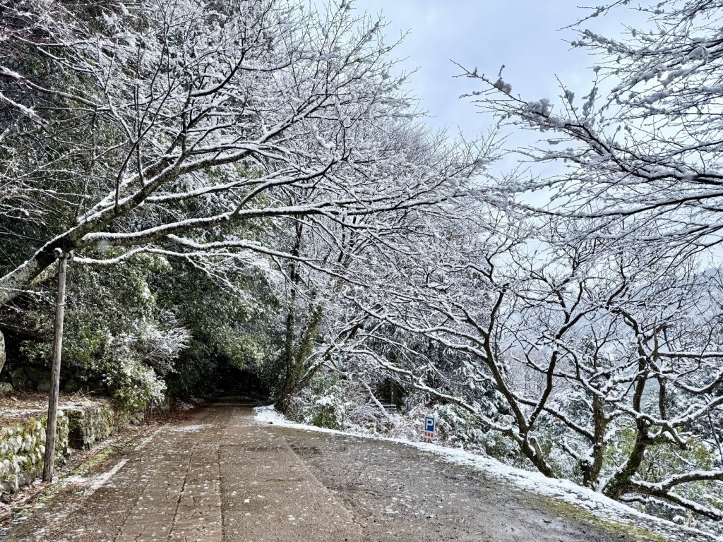 熊野古道中邊路D4 繼櫻王子—熊野本宮大社(大雪所賜改泡湯行程) 2025.3.19_2746951
