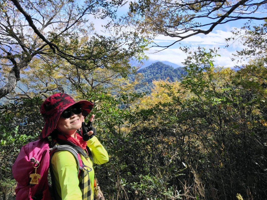 北得拉曼+內鳥嘴山賞山毛櫸封面圖