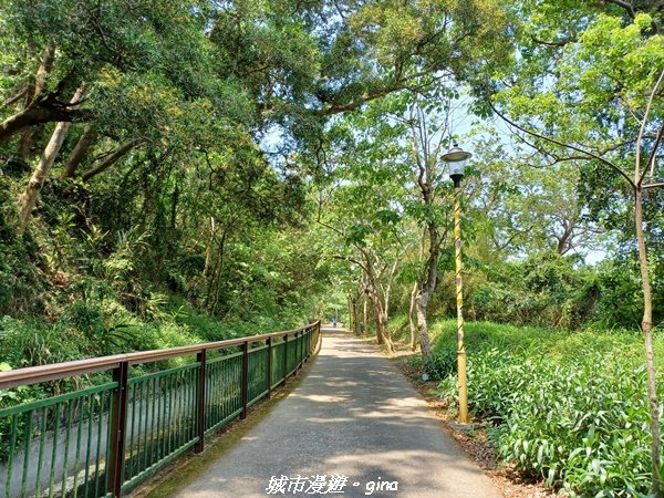 【台中外埔】高鐵觀景台、綠樹成蔭下賞桐花。 外埔水流東桐花步道_2136881