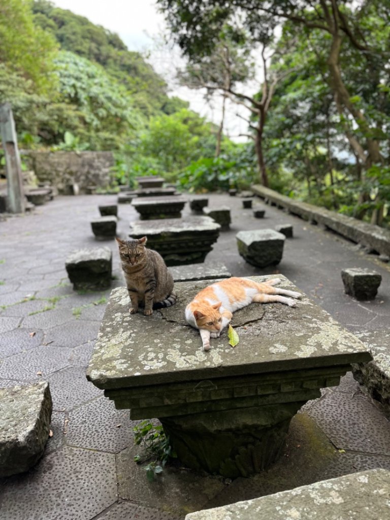 觀音山硬漢嶺_2532198