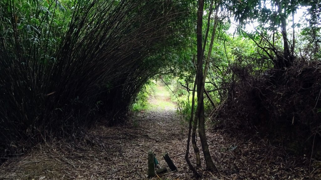 七上八下(七堵上八堵下)_2248838