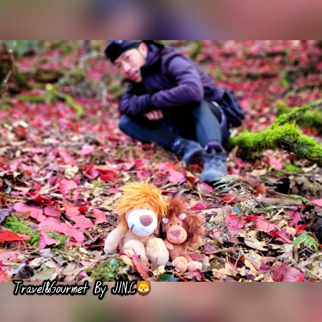 【羅馬沒有假期之重裝縱走】羅馬羅縱走_2039266