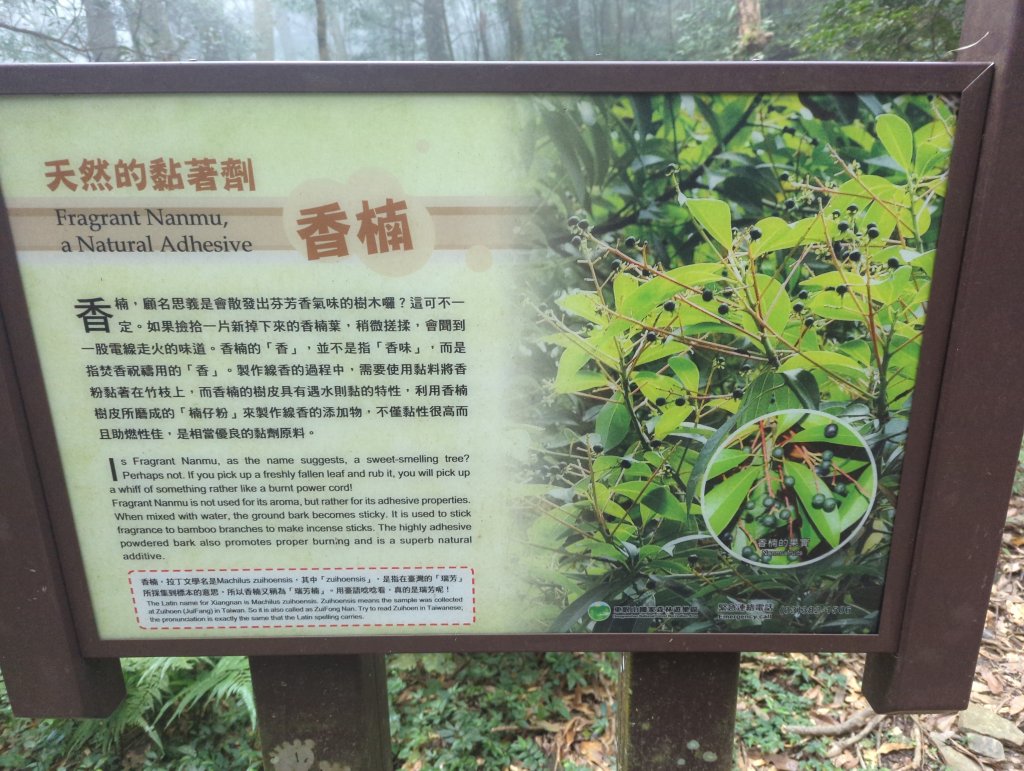 2023.02.19－東眼山自導式步道_2038889