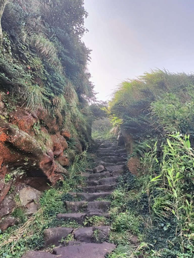 七星山主東峰之旅_1742155