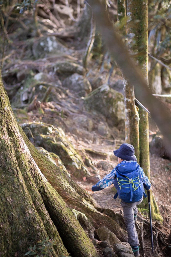 百變的夢幻山域 - 稍來南峰 & 稍來山_1483766